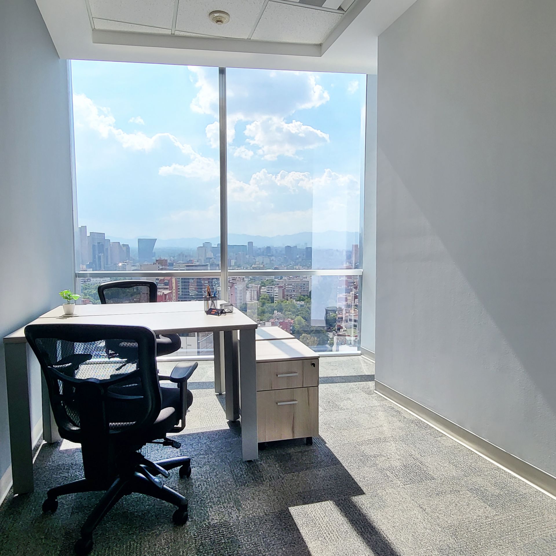 Sach Mariano Escobedo image 5