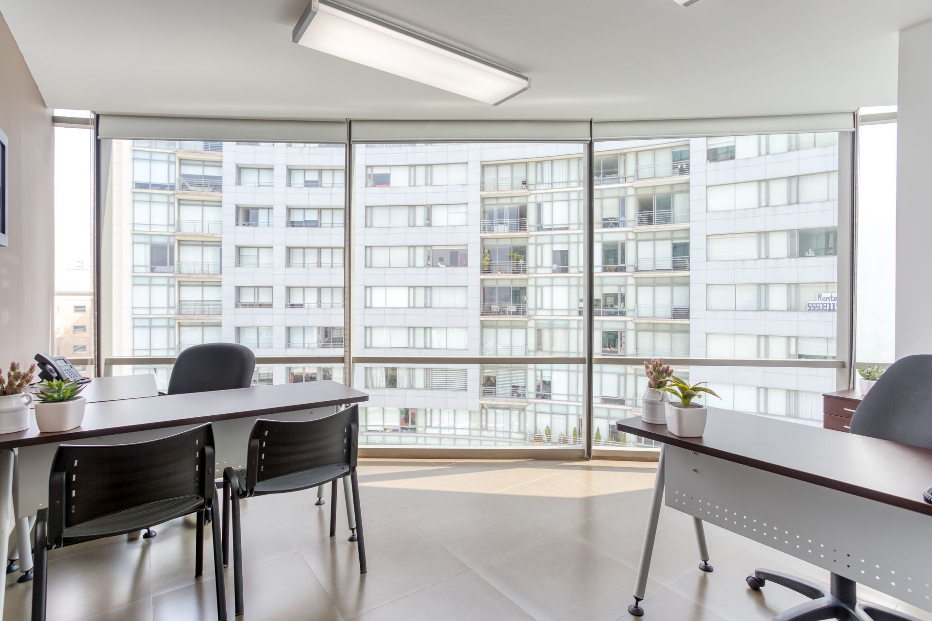 SACH Parque Interlomas image 2