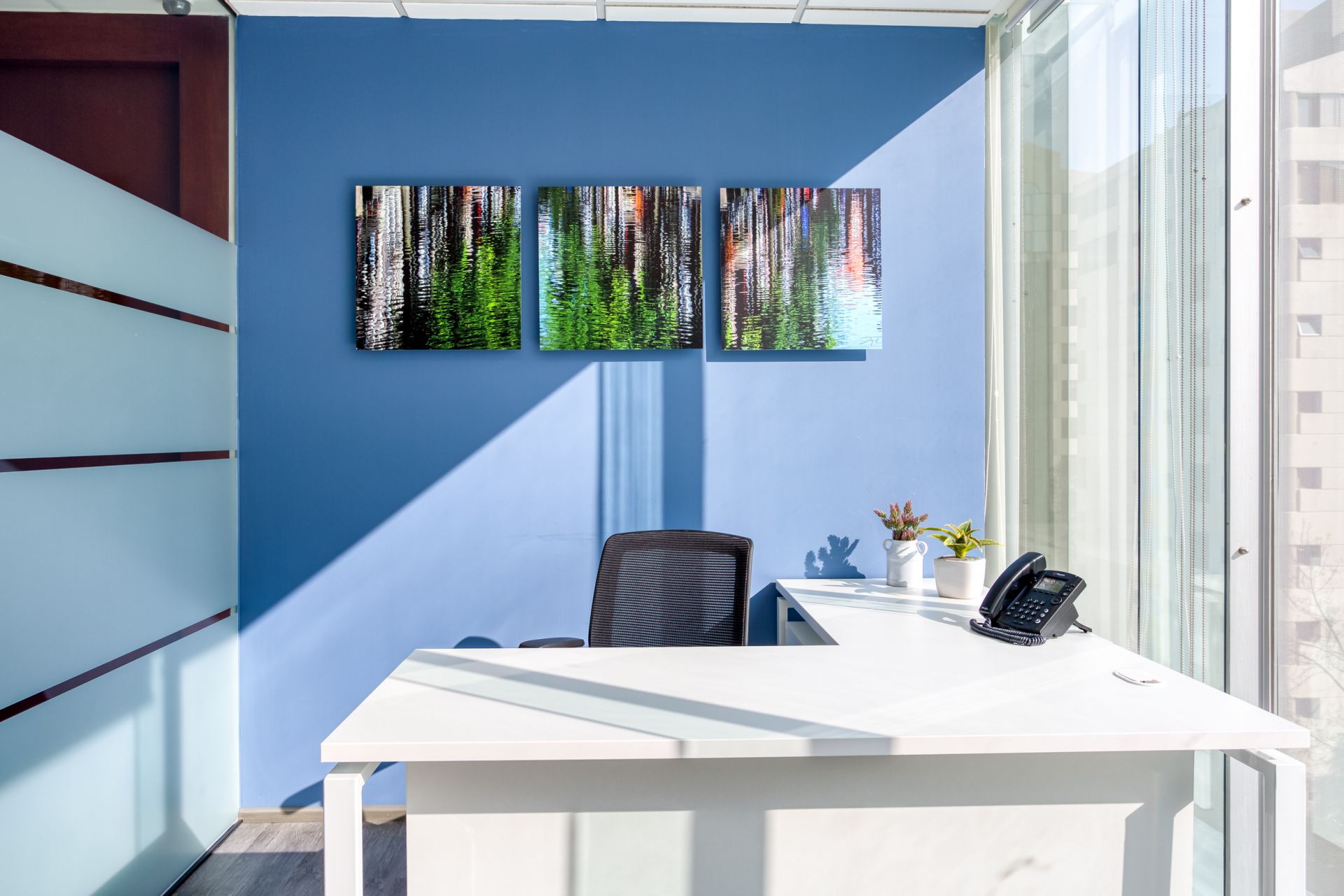 SACH Pedregal image 4