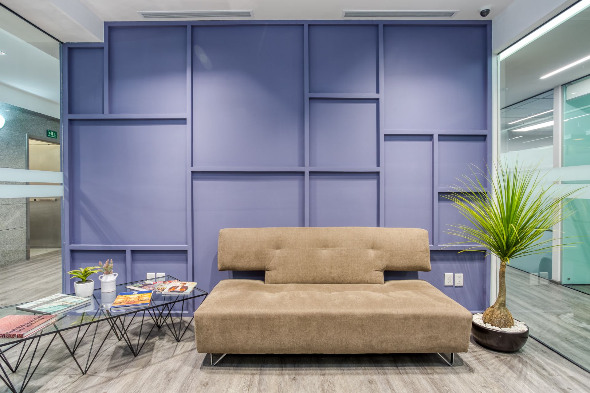 SACH Pedregal image 3