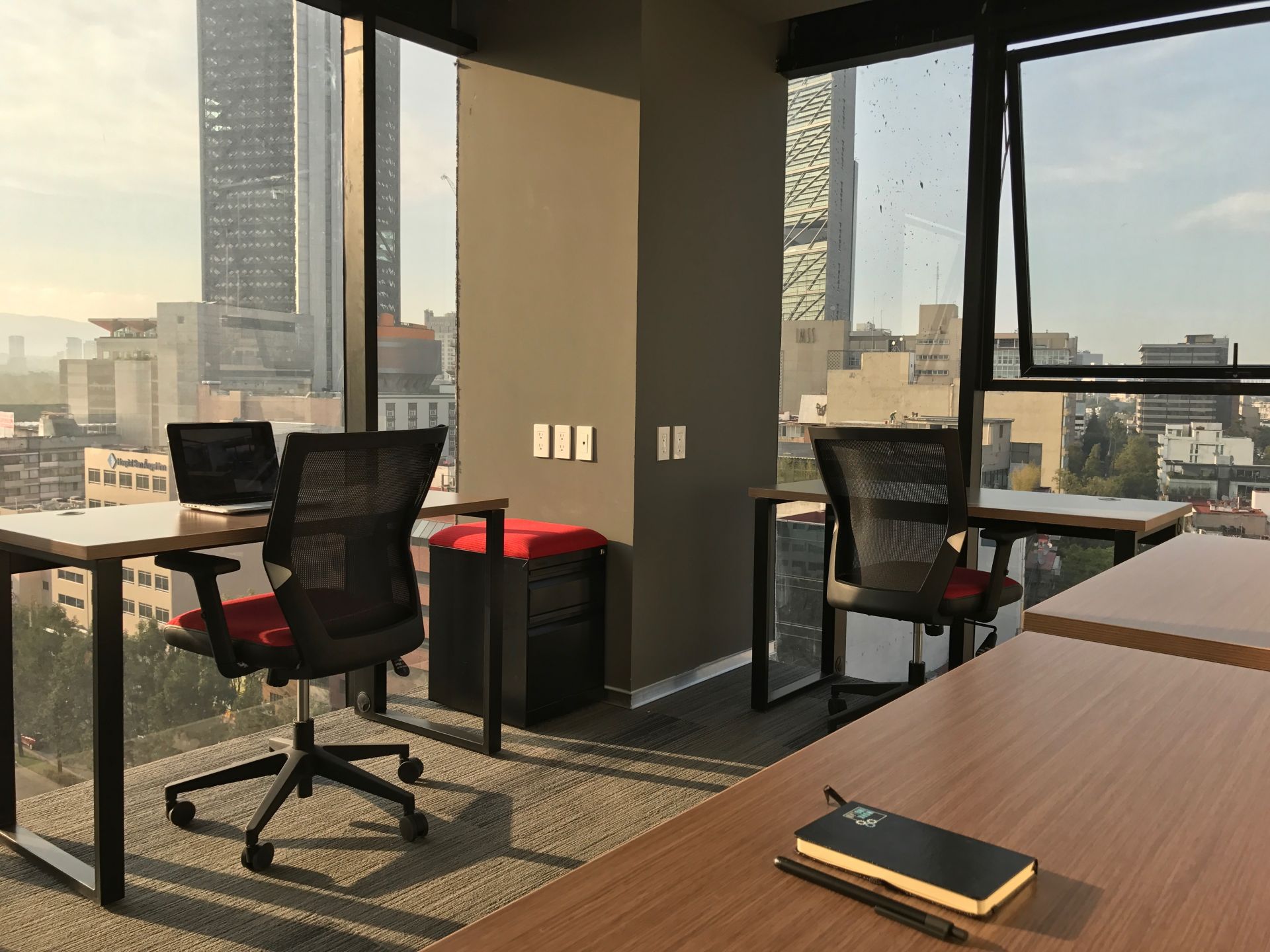 Seedspace Cibeles image 5