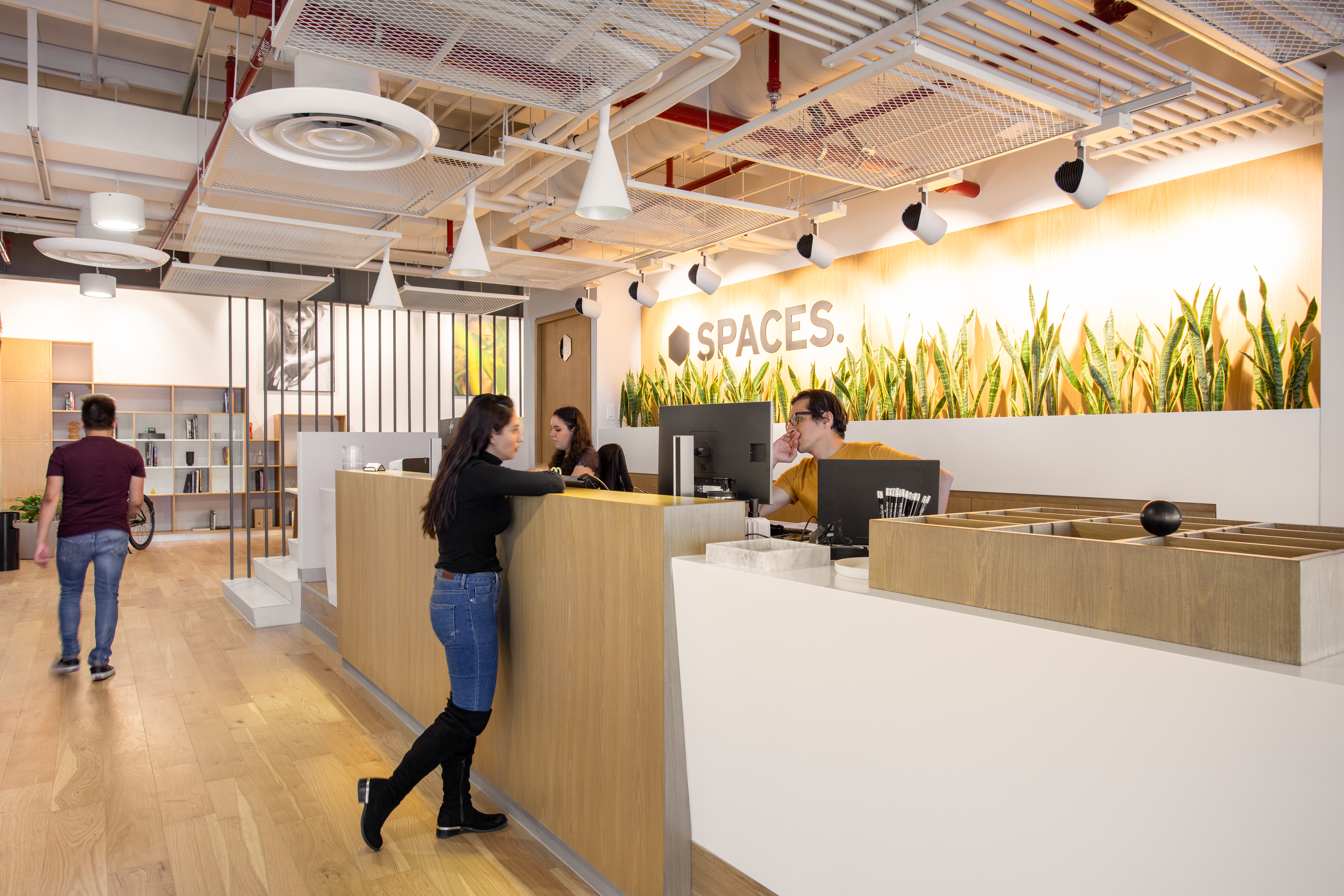 Spaces - Ciudad Mexico - Torre Concreta image 5