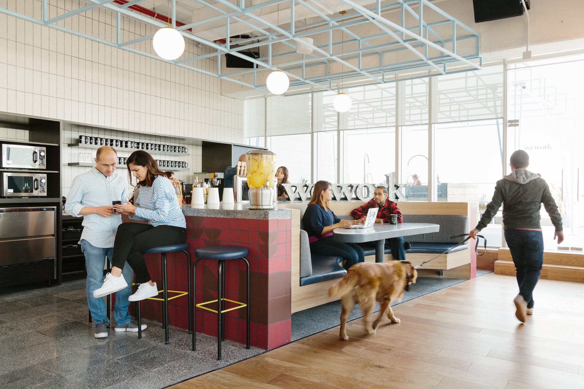 WeWork Insurgentes Sur 601 image 5