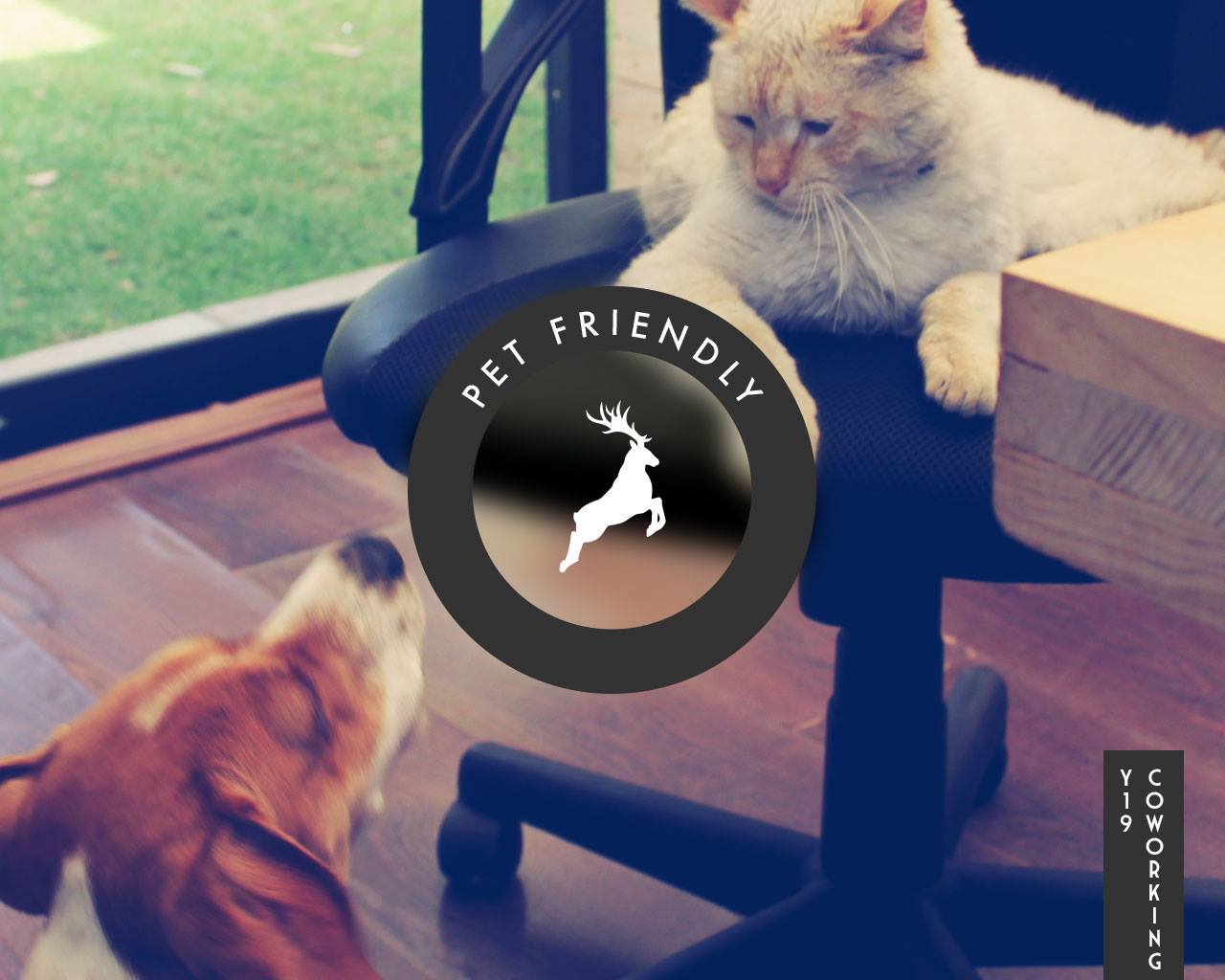 Yellow 19­° Coworking Spaces image 2