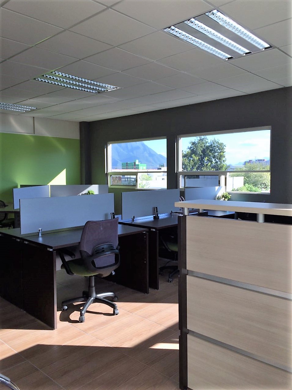 Floressa Monterrey Centro image 5