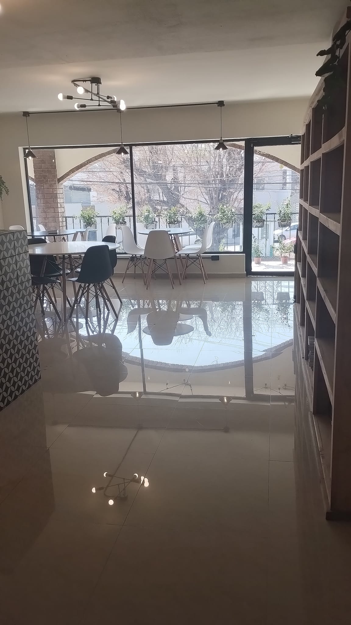 Pez con Anteojos image 2