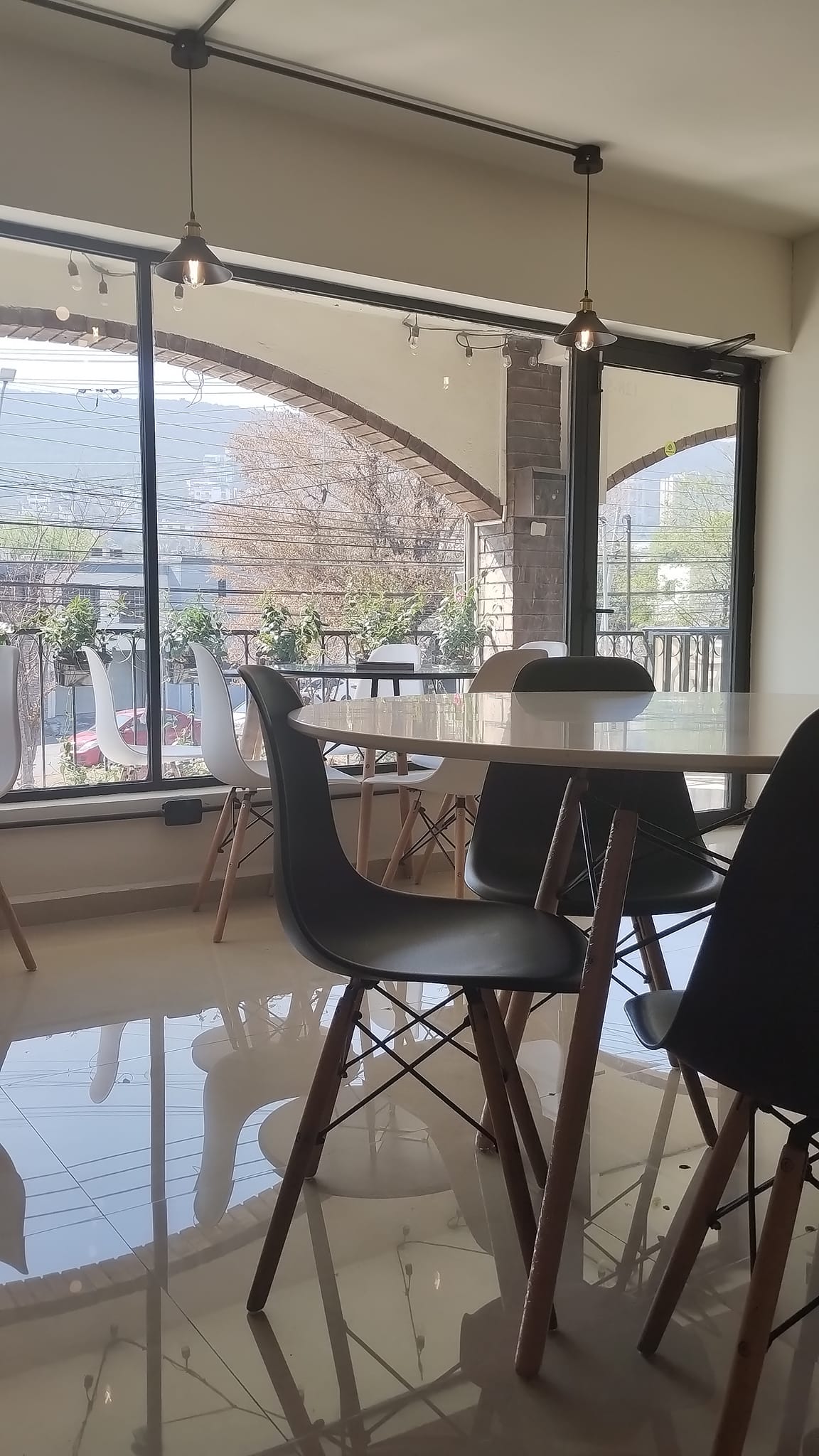 Pez con Anteojos image 5