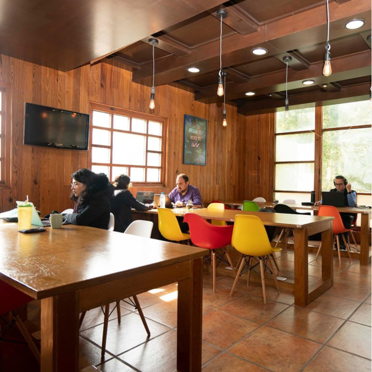 The Tree House Cowork image 3