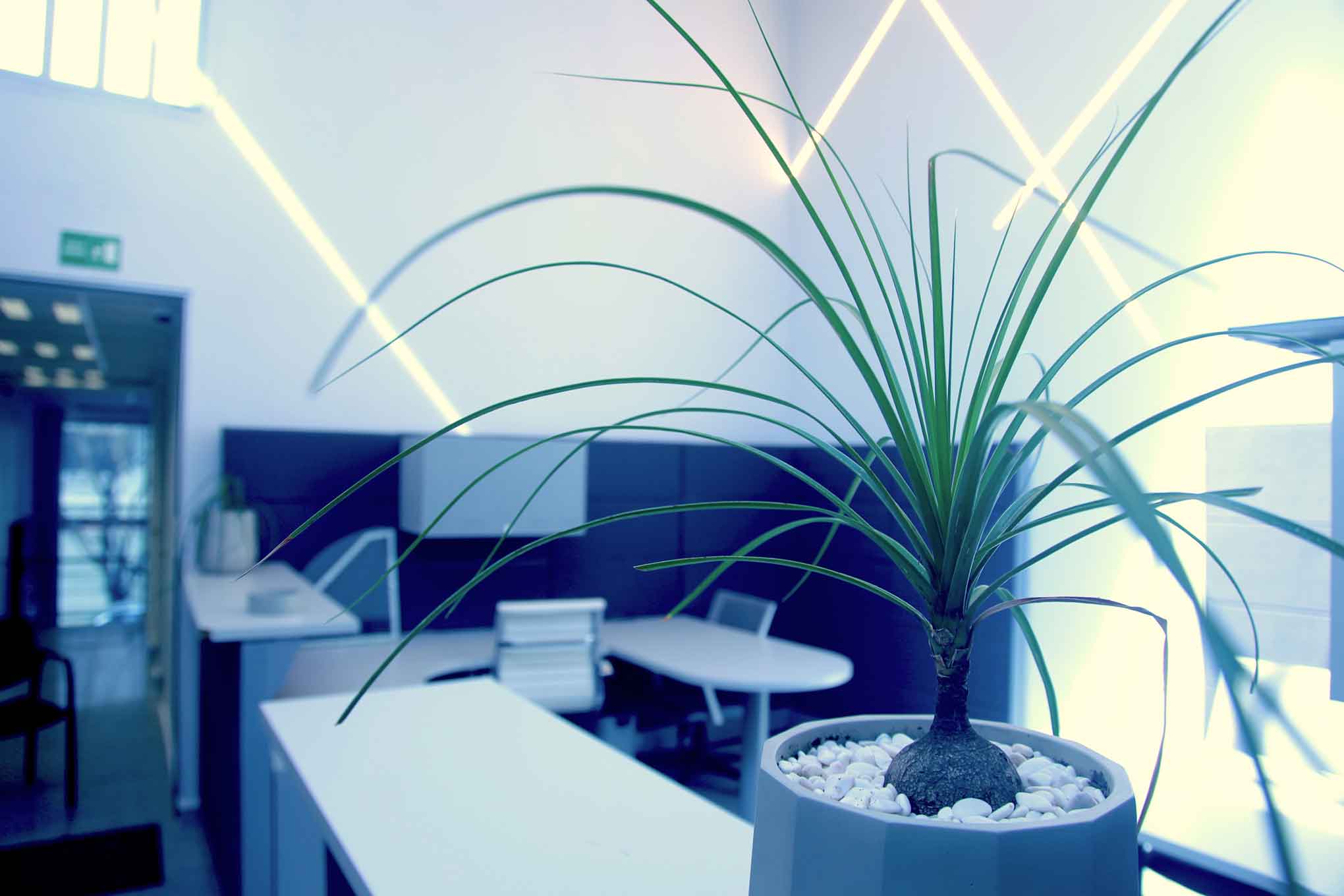 Neo Offices Satelite image 4