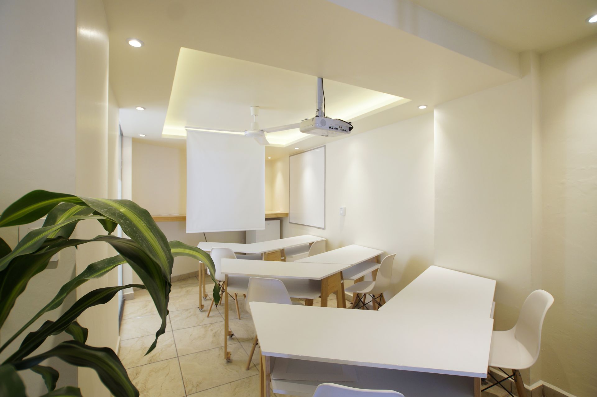 Circuito 321 image 5