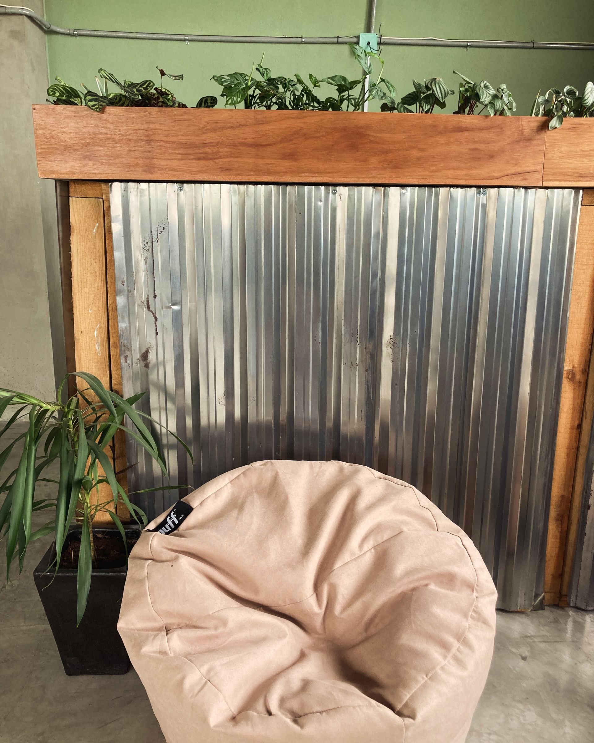 Angulo cowork image 4