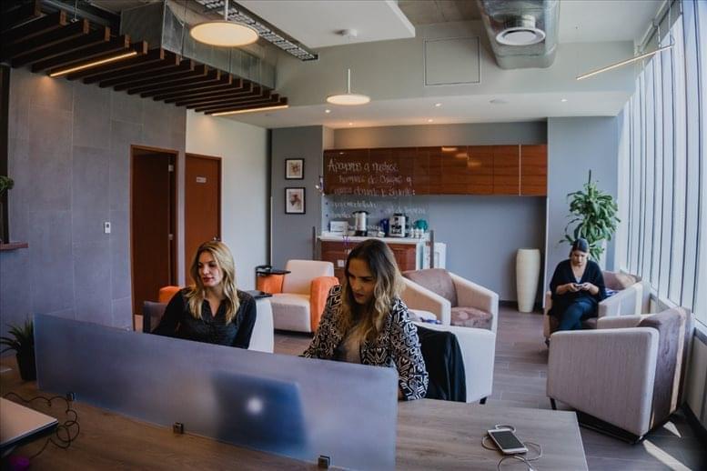 Nex Offices. image 5