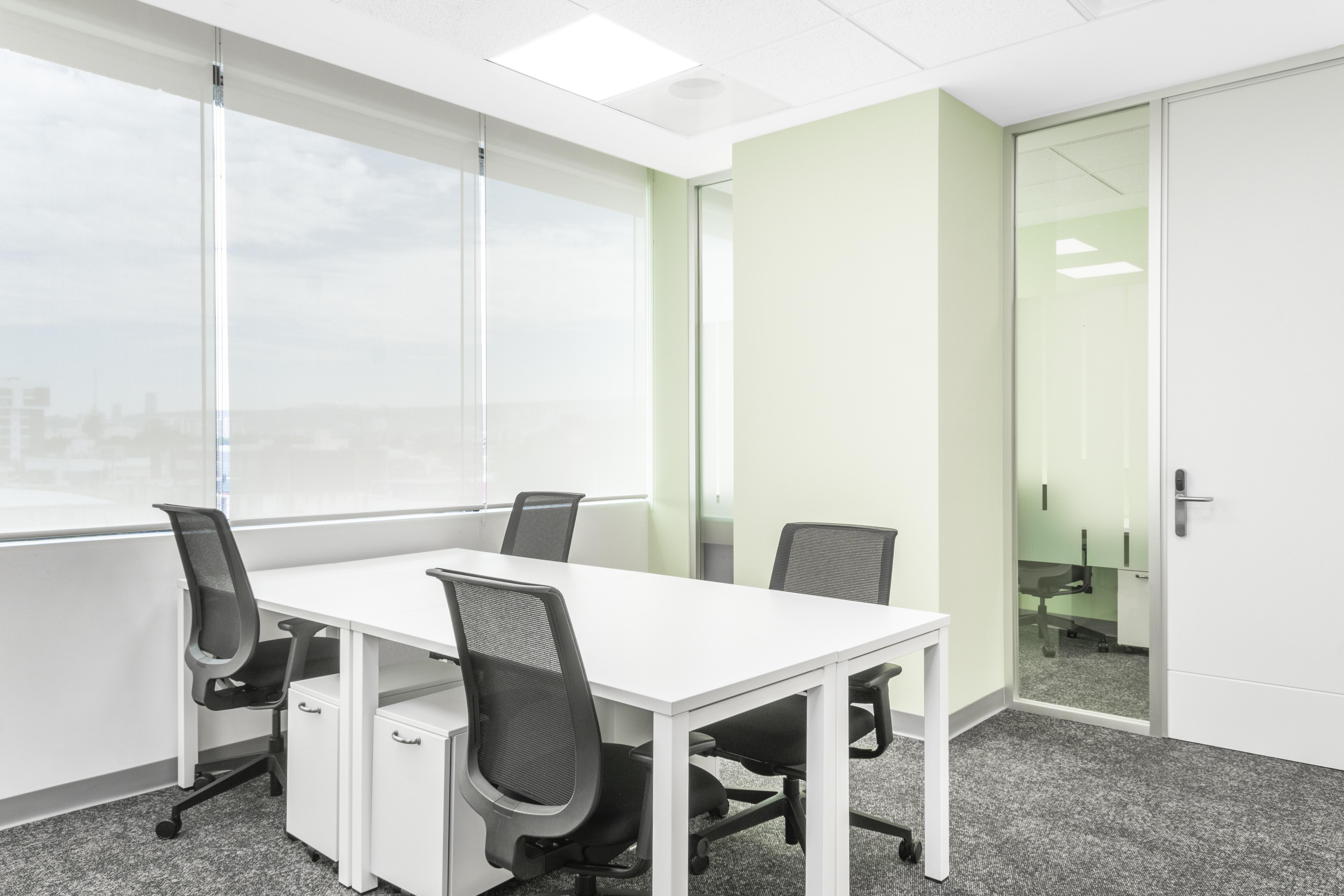 Regus - Queretaro, Constituyentes image 3