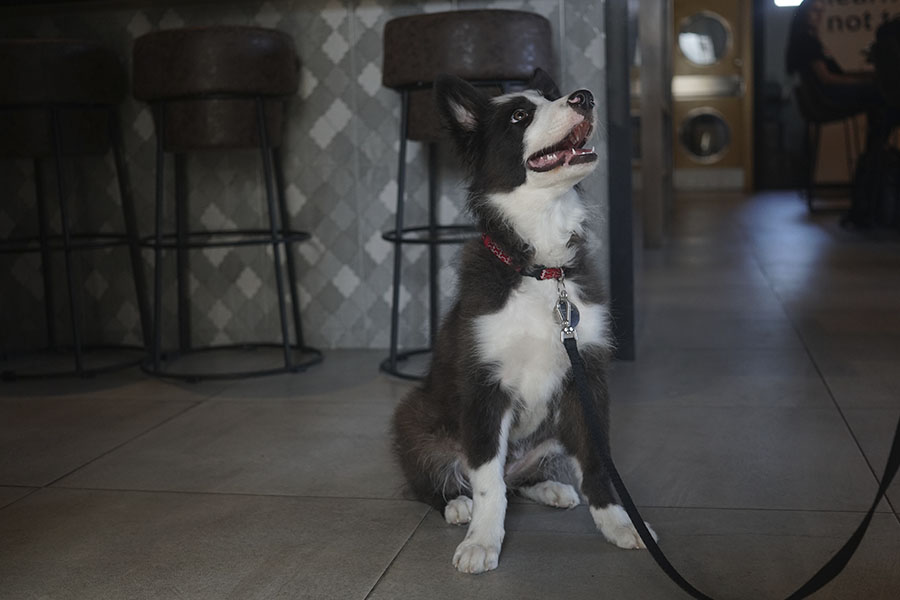 eazy Workspace image 5