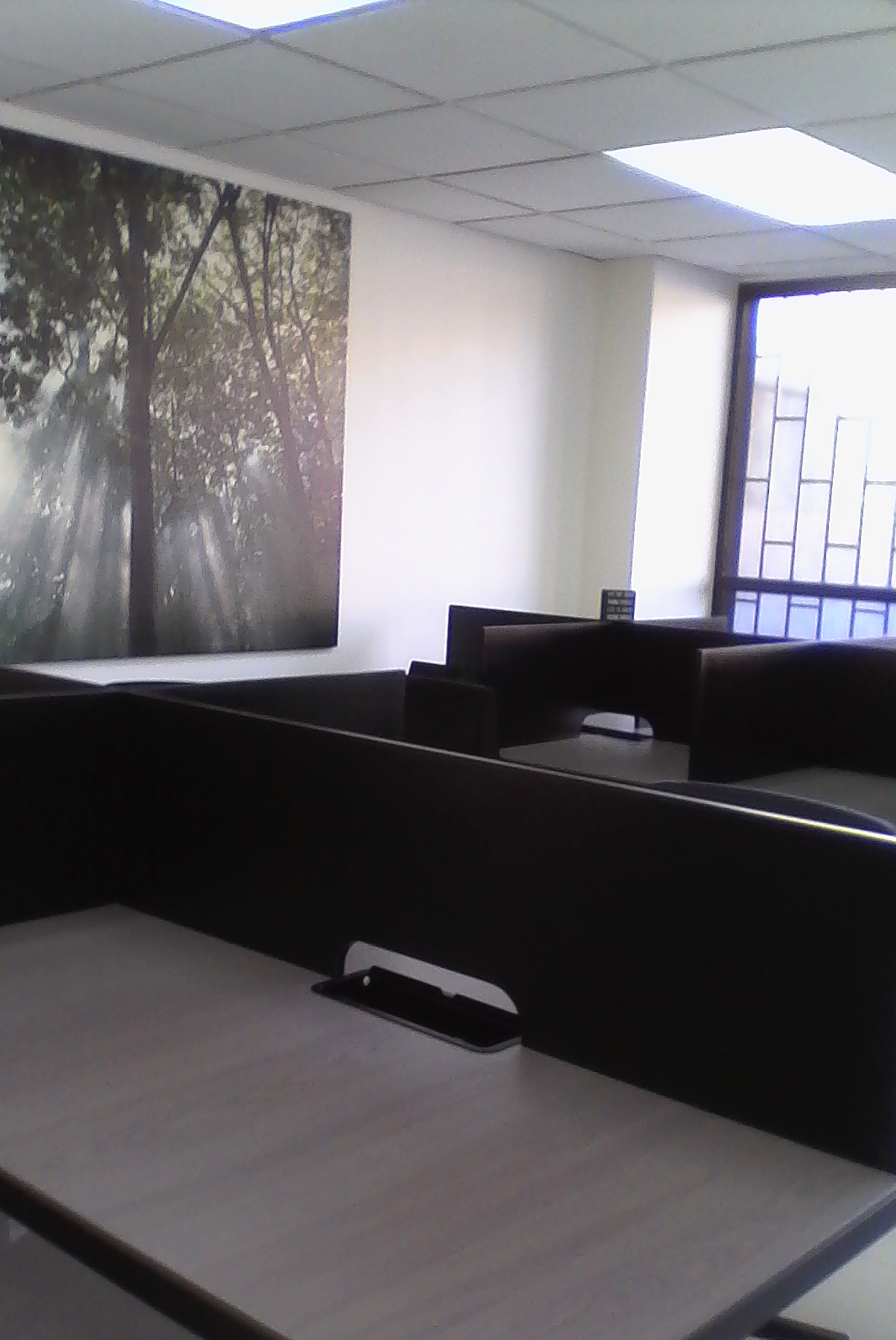 Vivaworkplace image 3