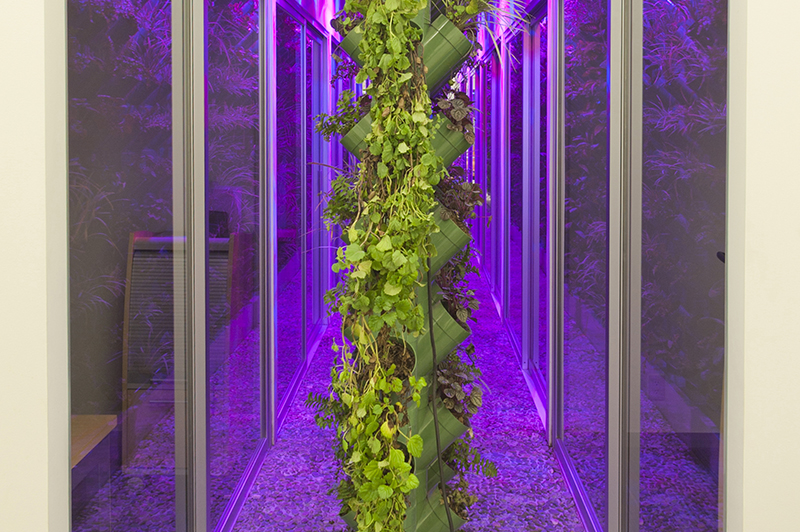 IVO Business Center City Shops Valle Dorado image 4