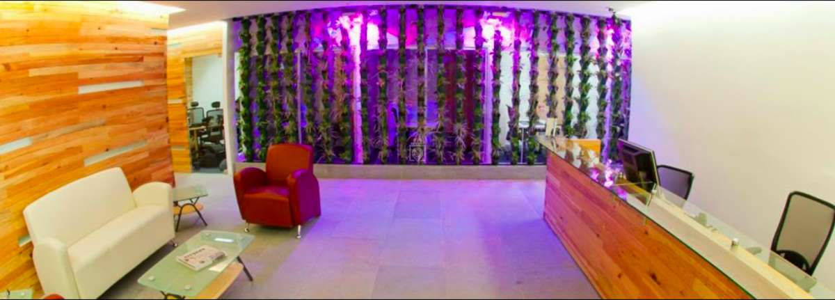 Ivo Business Center City Shops Valle Dorado Tlalnepantla De Baz