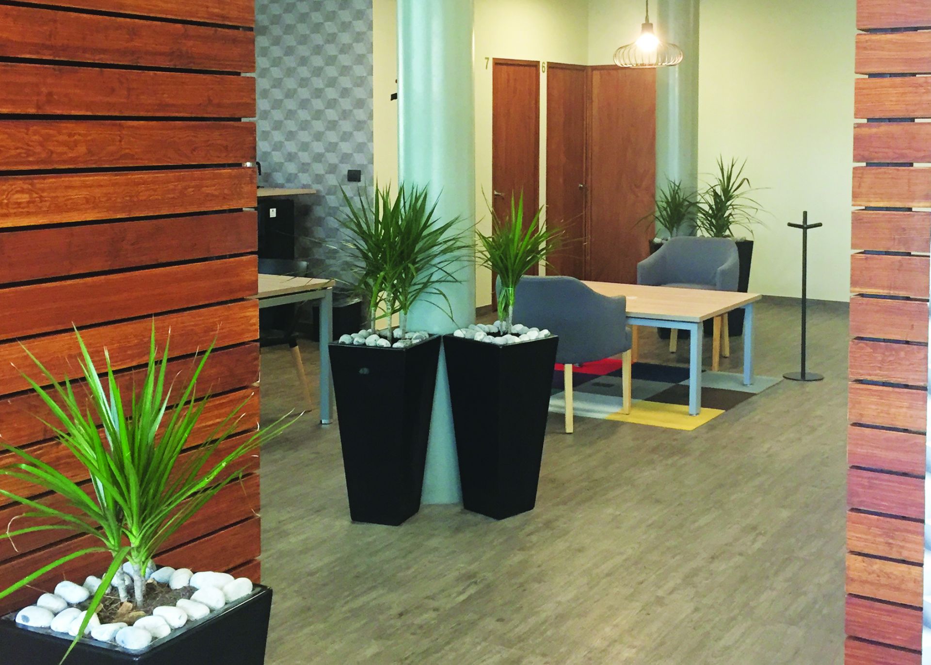 Proyecto 7 Satelite image 2