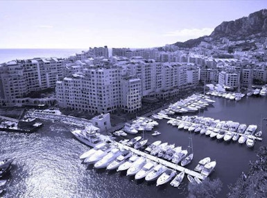 Monaco Business Center  image 4