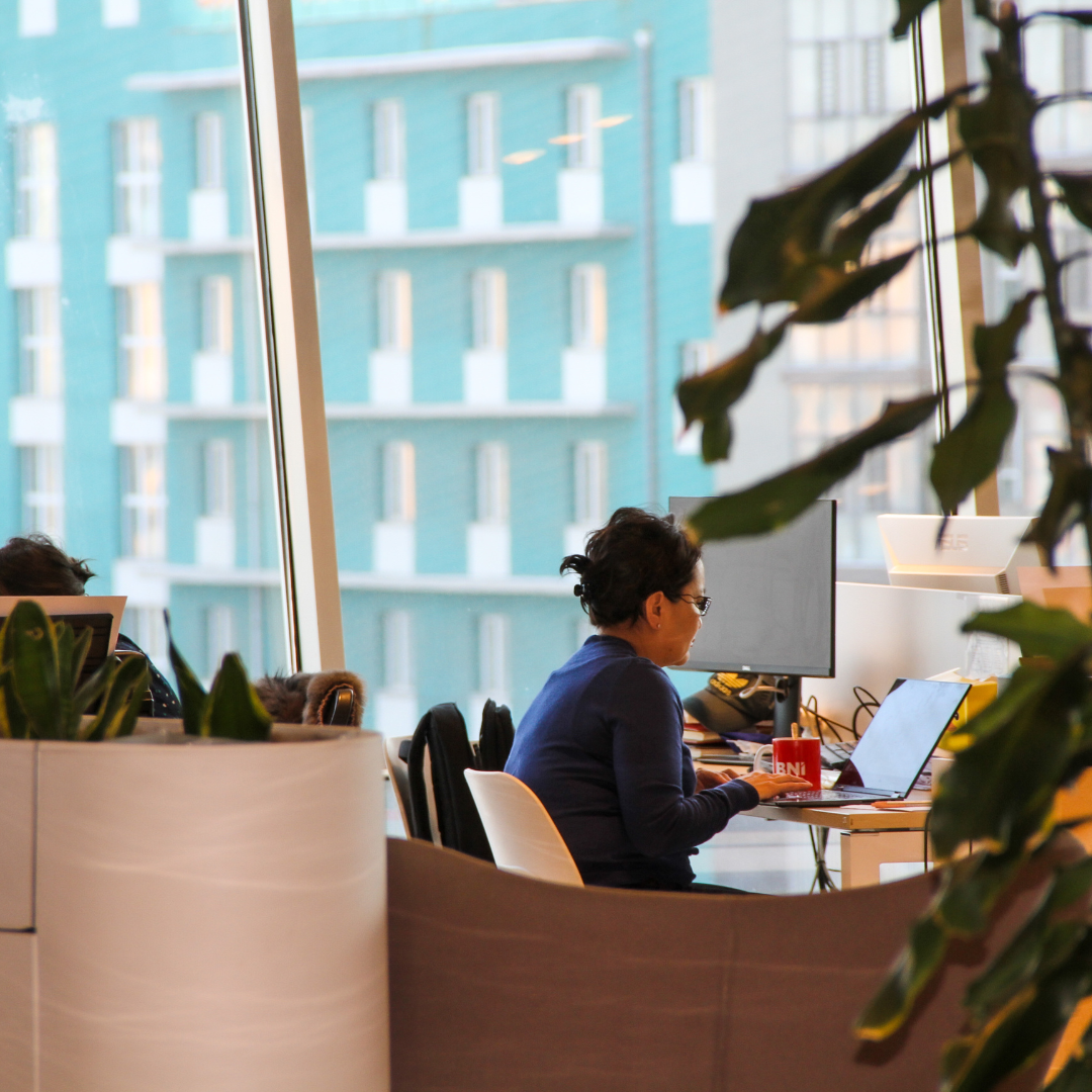 Startup Terminal image 4