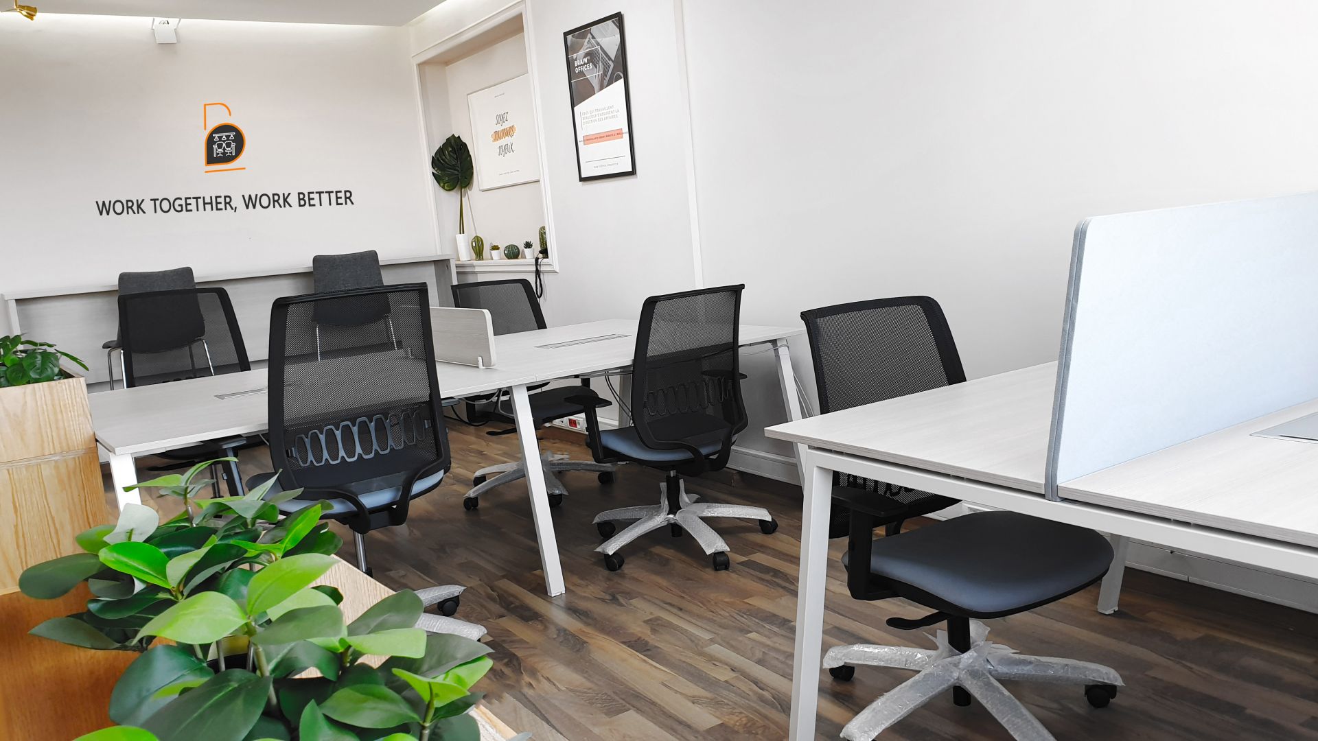 Brain Offices image 5