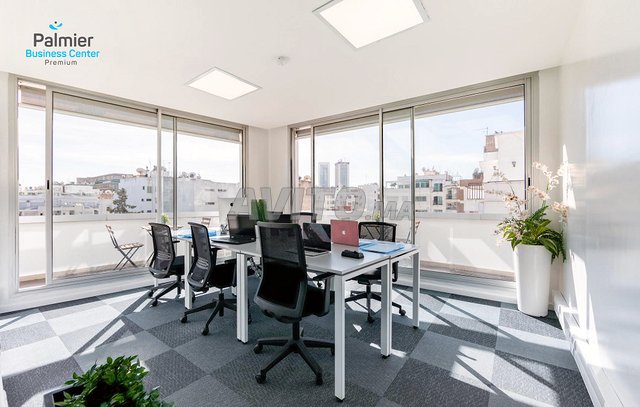 Palmier Business Center Premium image 3