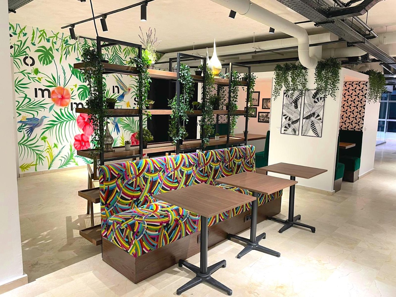 COMMONS MOROCCO image 2