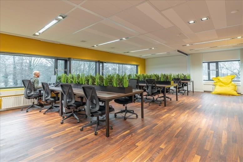 Mspace Nederland image 2