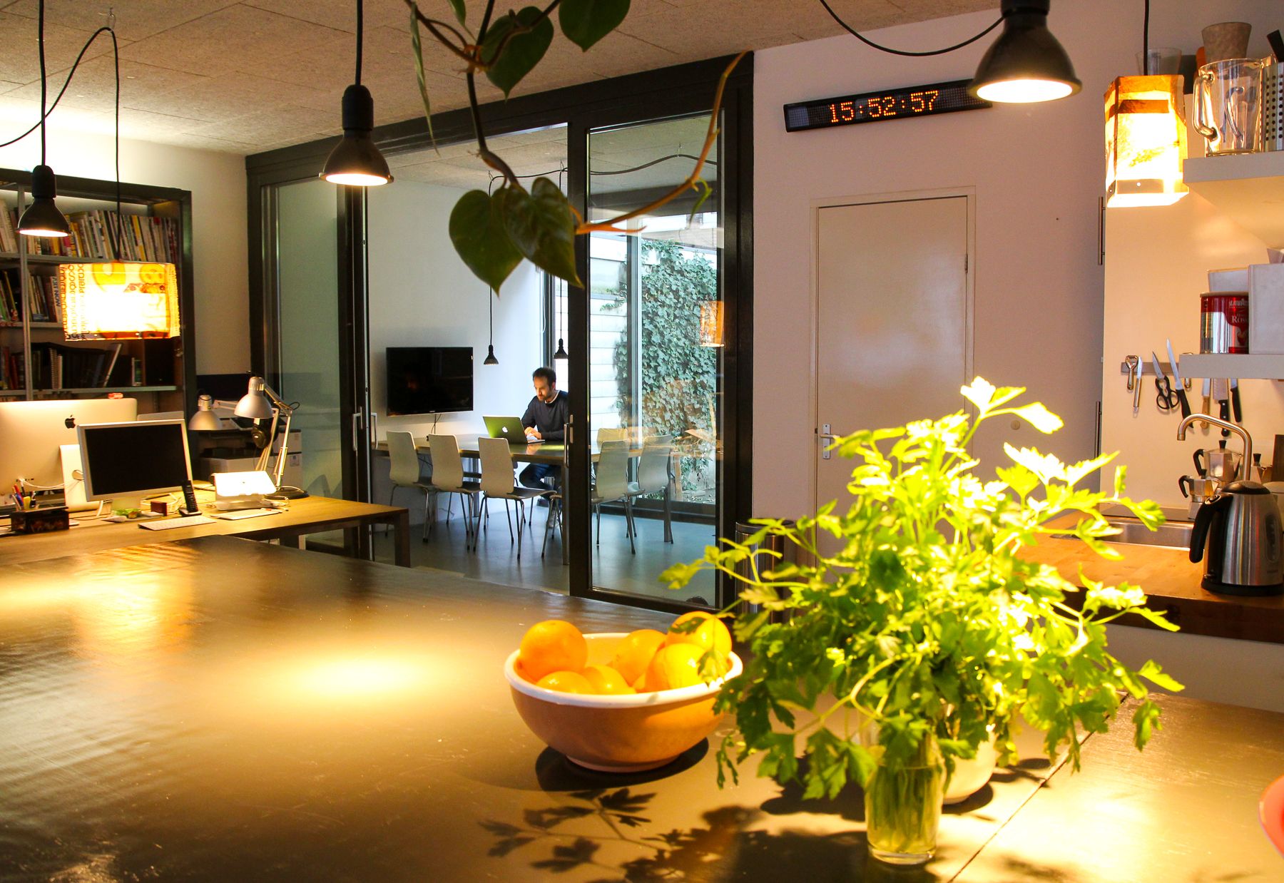 Ape to Zebra Collective image 2