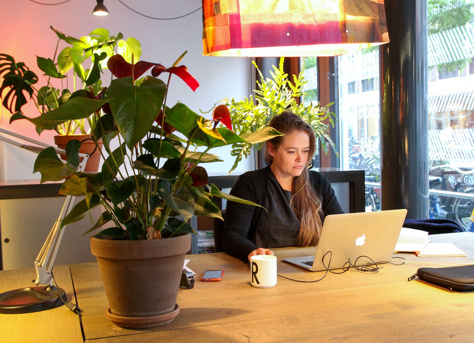 Ape to Zebra Collective image 4