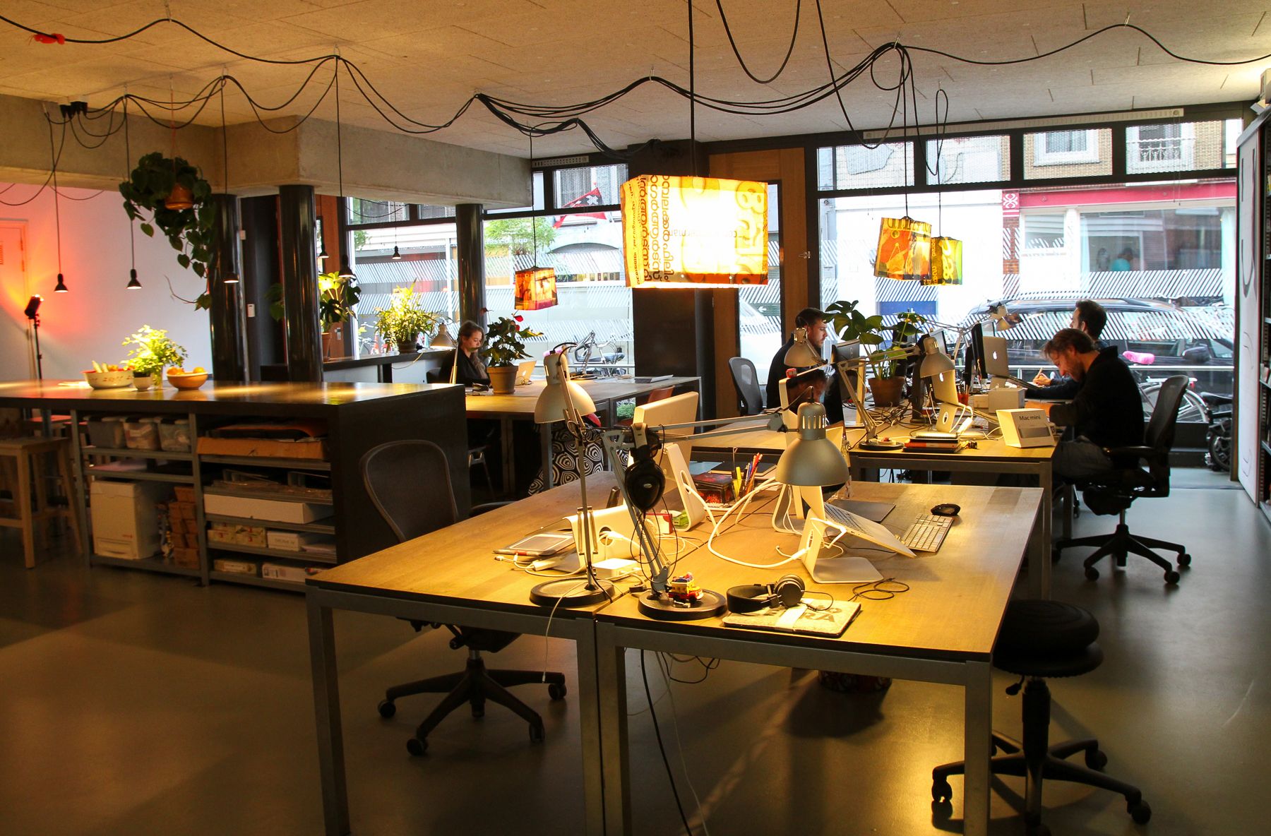 Ape to Zebra Collective image 5