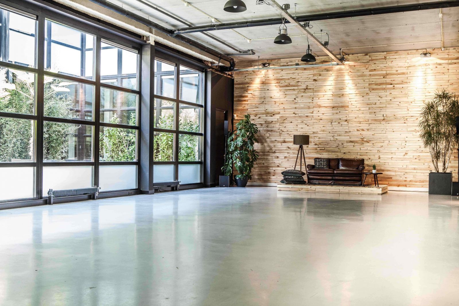 Wicked Grounds image 2