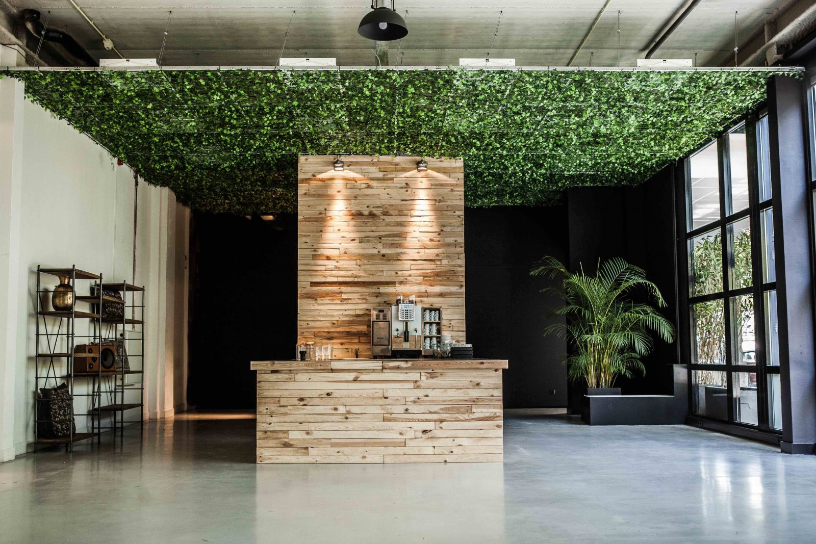 Wicked Grounds image 4