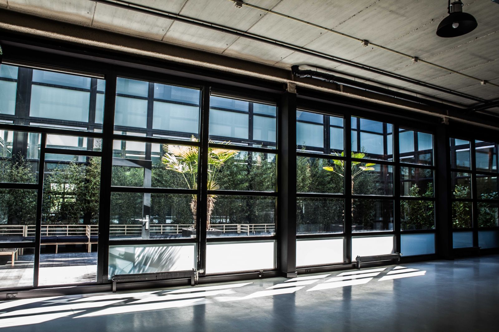 Wicked Grounds image 3