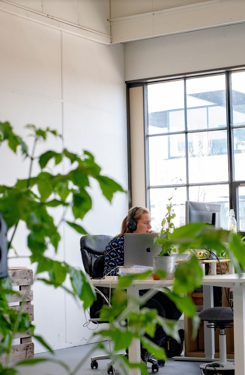 De Cowork Tuin image 4