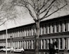BCG Nijmegen image 5
