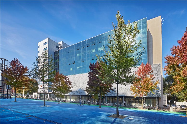 Frame Offices Jupiter image 1