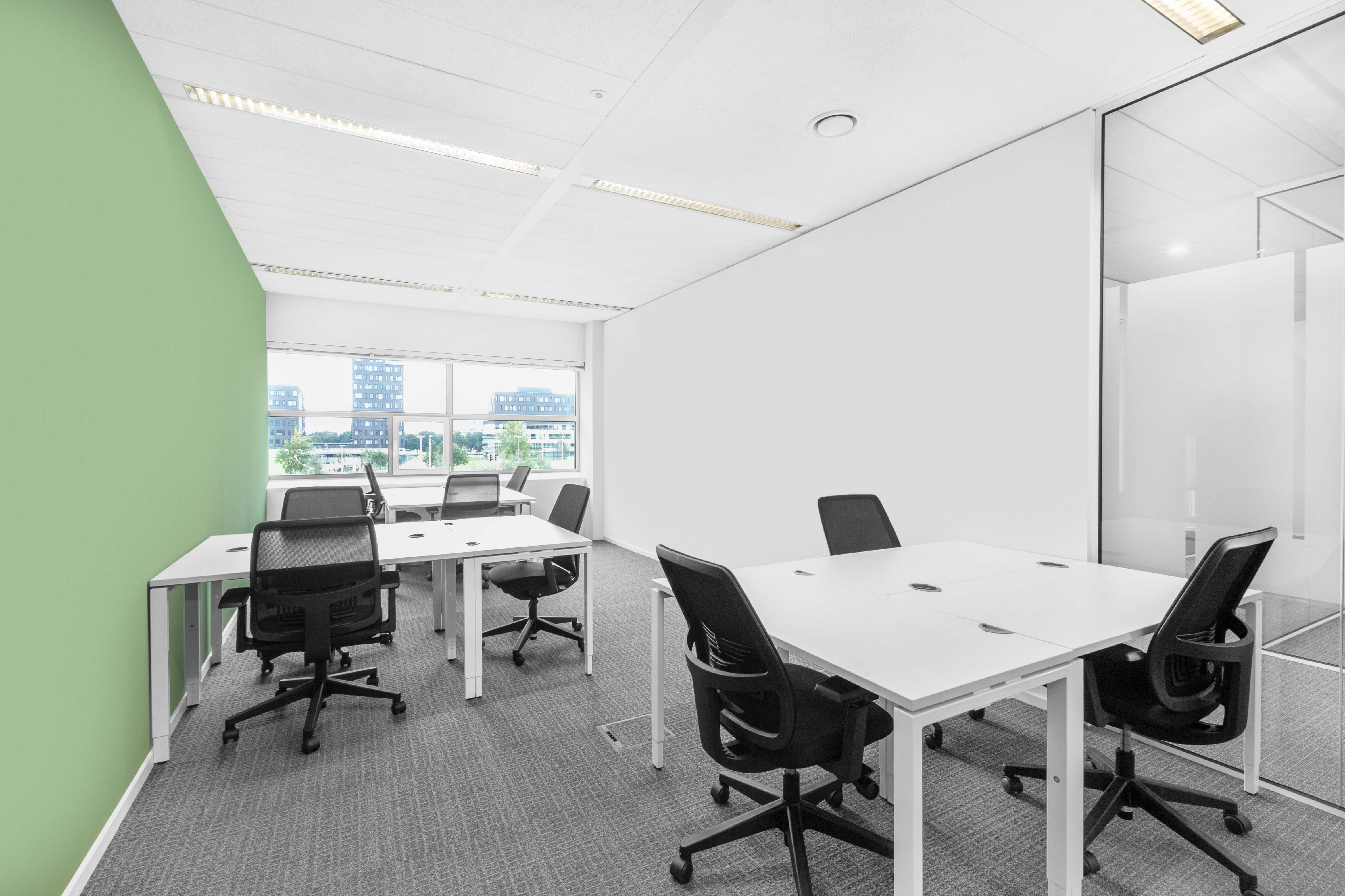 Color - Utrecht, Secoya Papendorp image 2