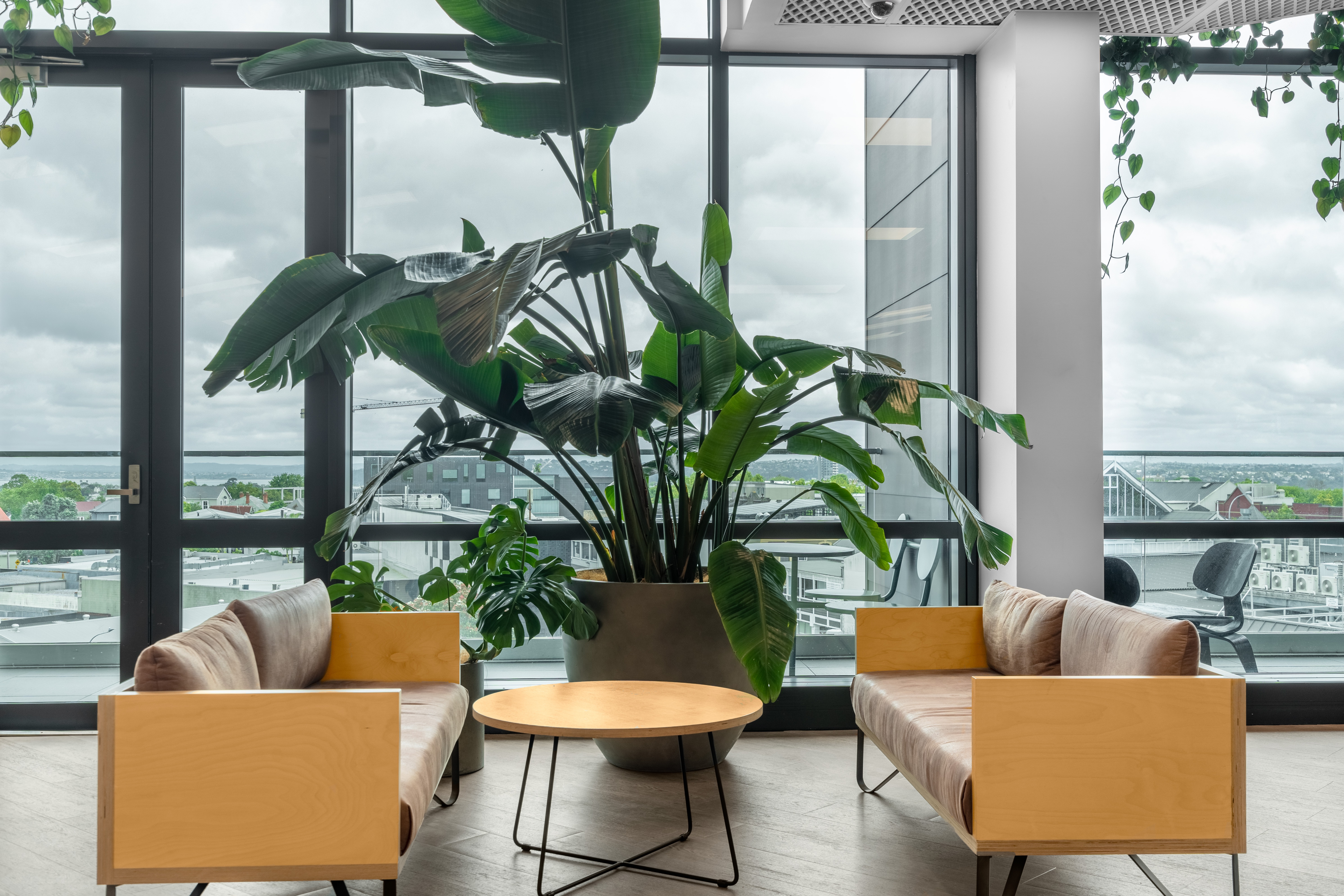 BizDojo - Auckland, Cider Building image 5