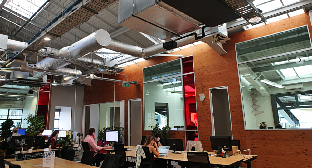 BizDojo Parnell image 5