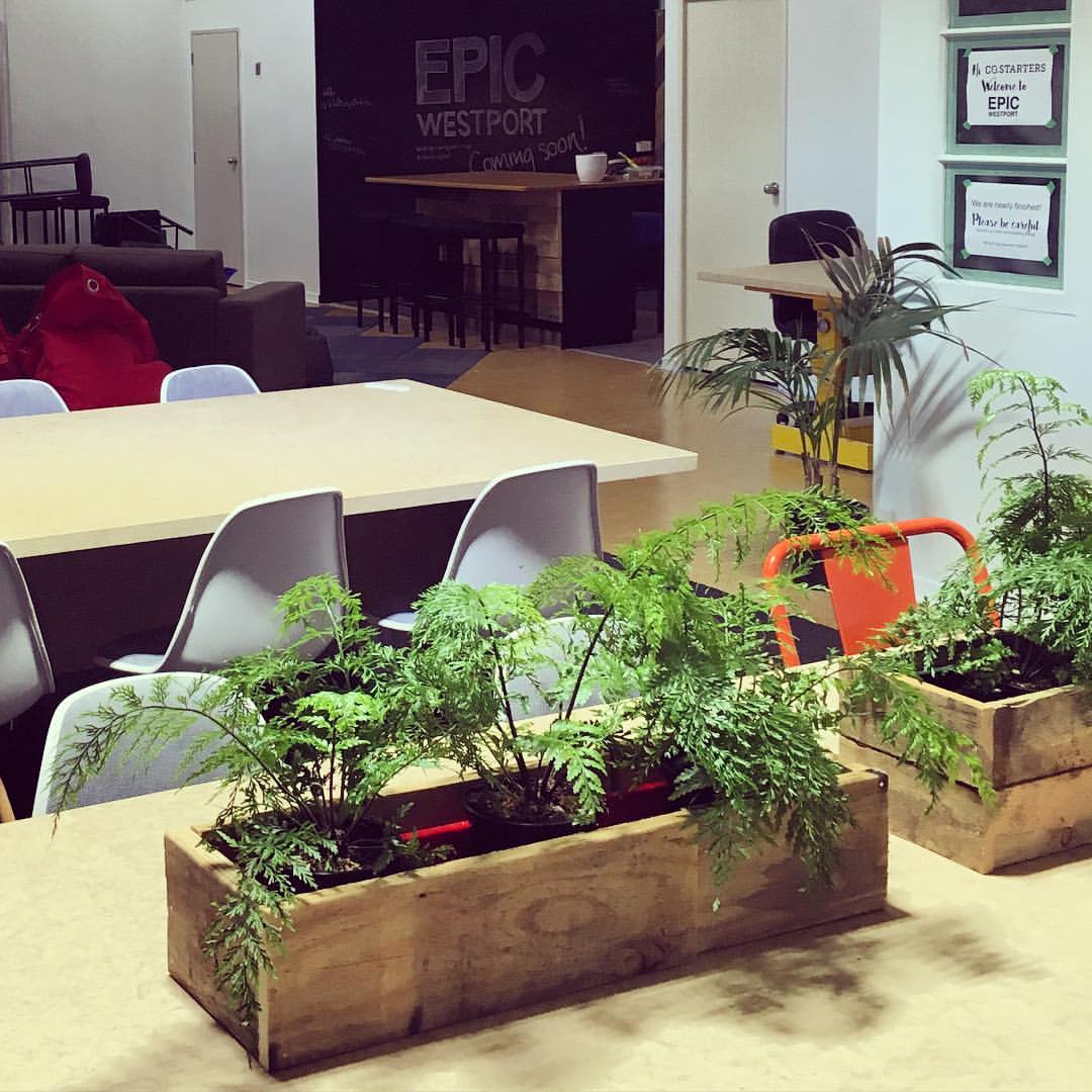 EPIC Westport image 2