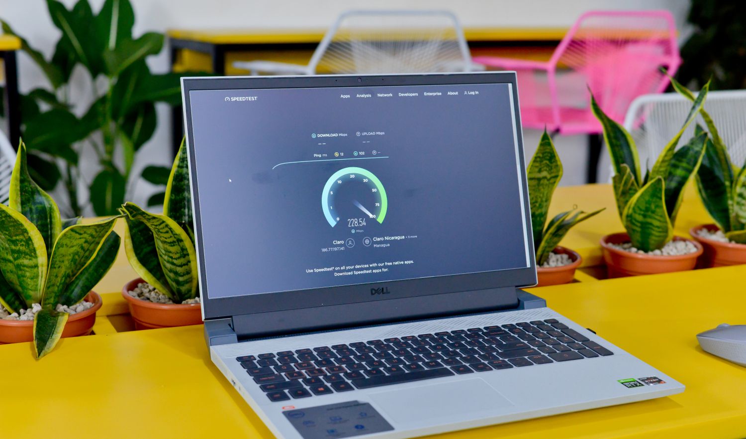 Casa Bloom Coworking space image 2