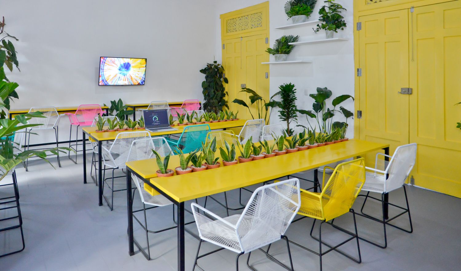 Casa Bloom Coworking space image 3