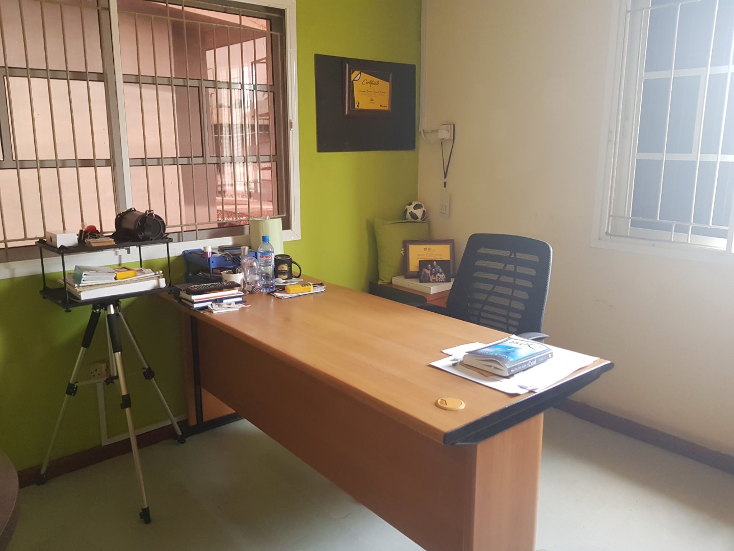 Emerald Zone image 4