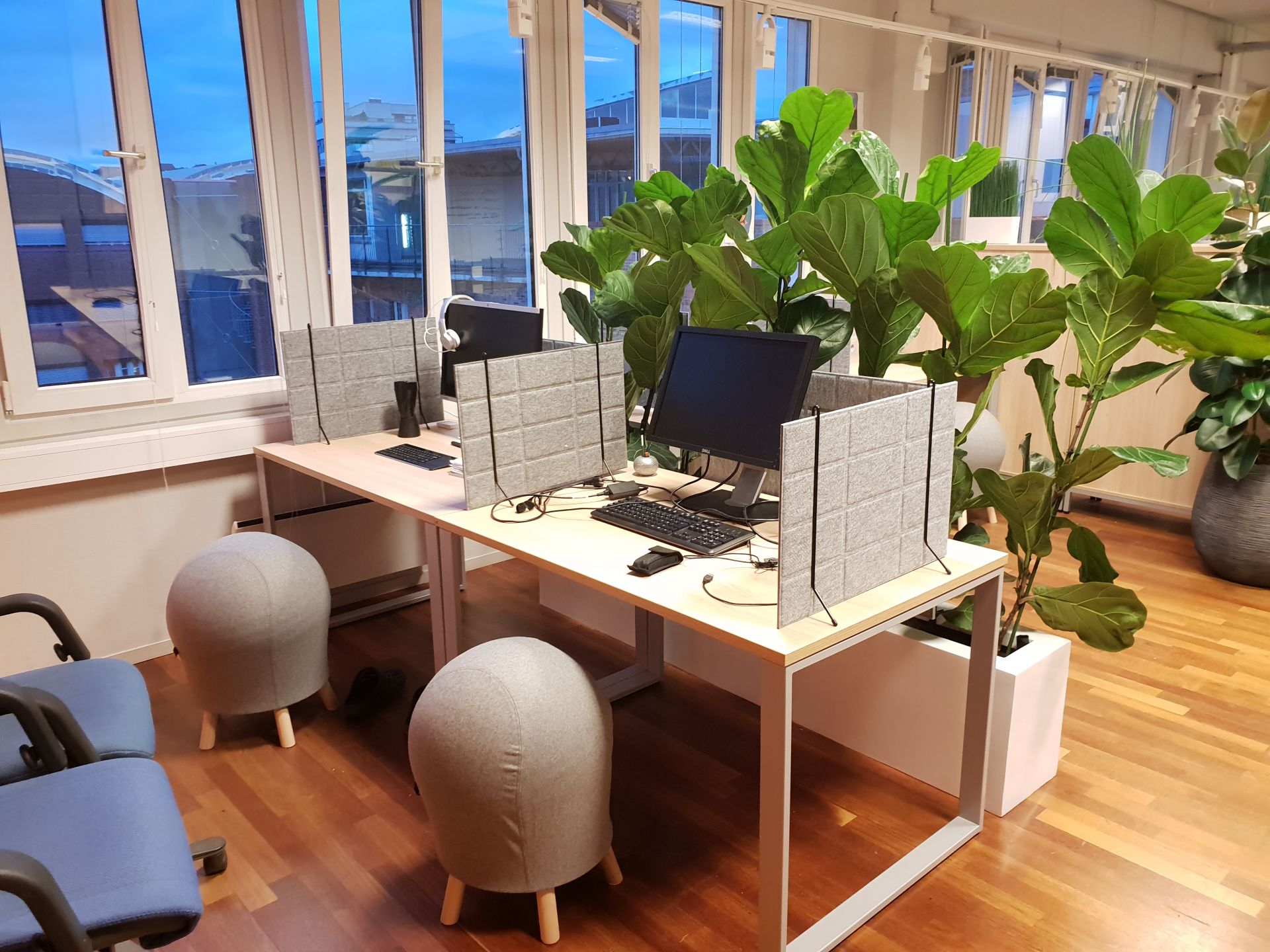 Drivhuset Ostfold image 4