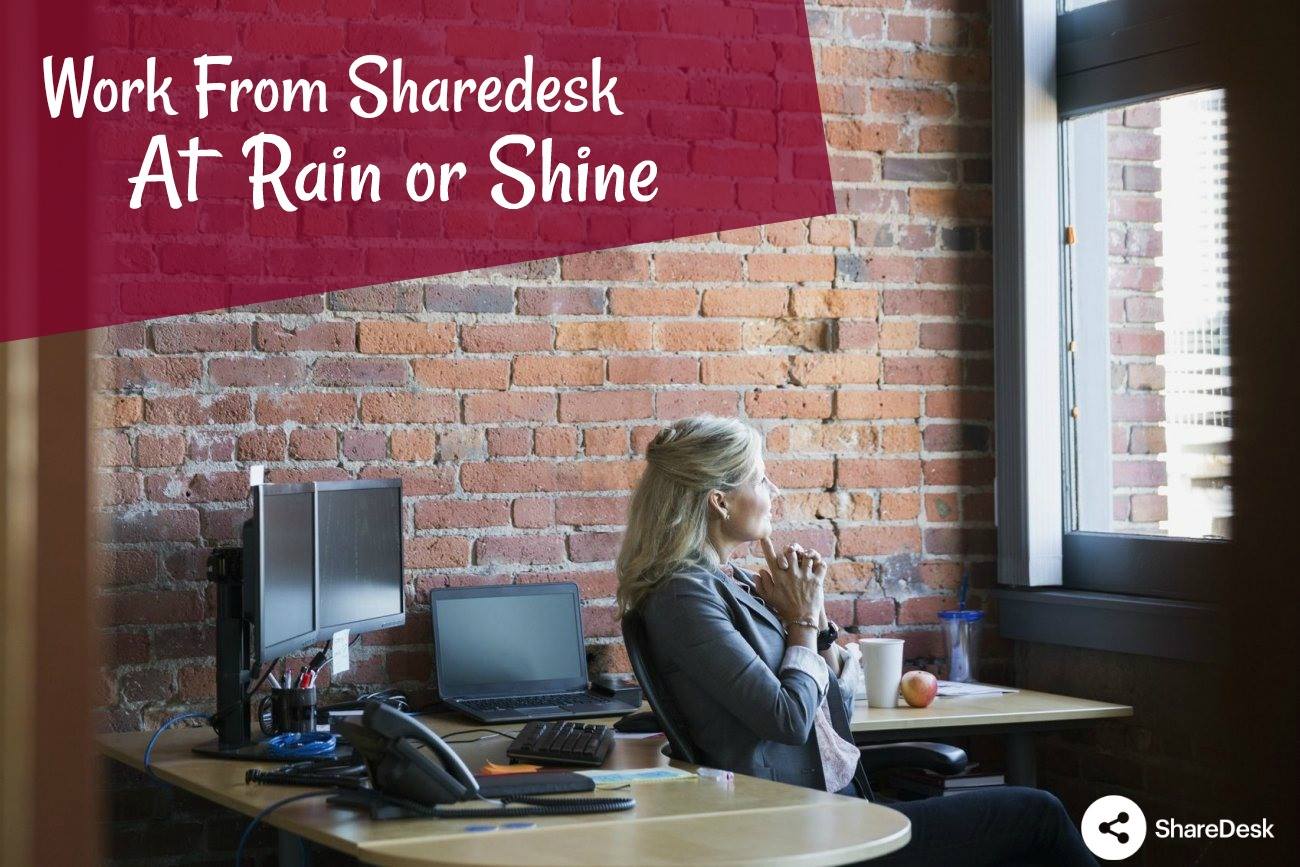 Sharedesk.pk image 5