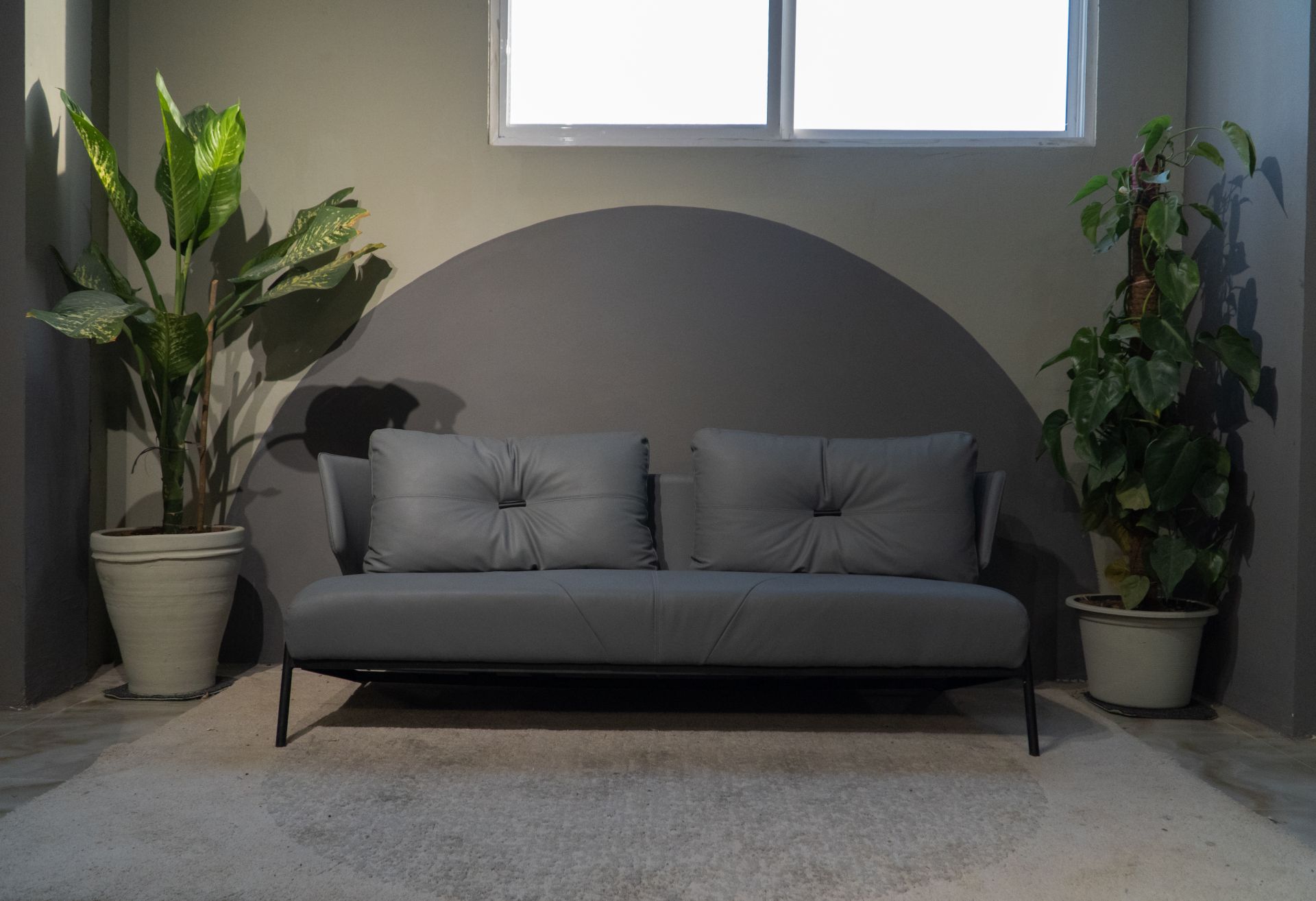 Light Communications image 5