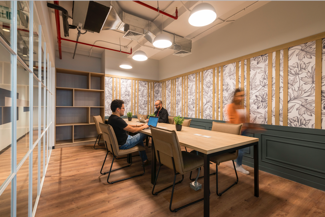 Comunal Begonias image 2