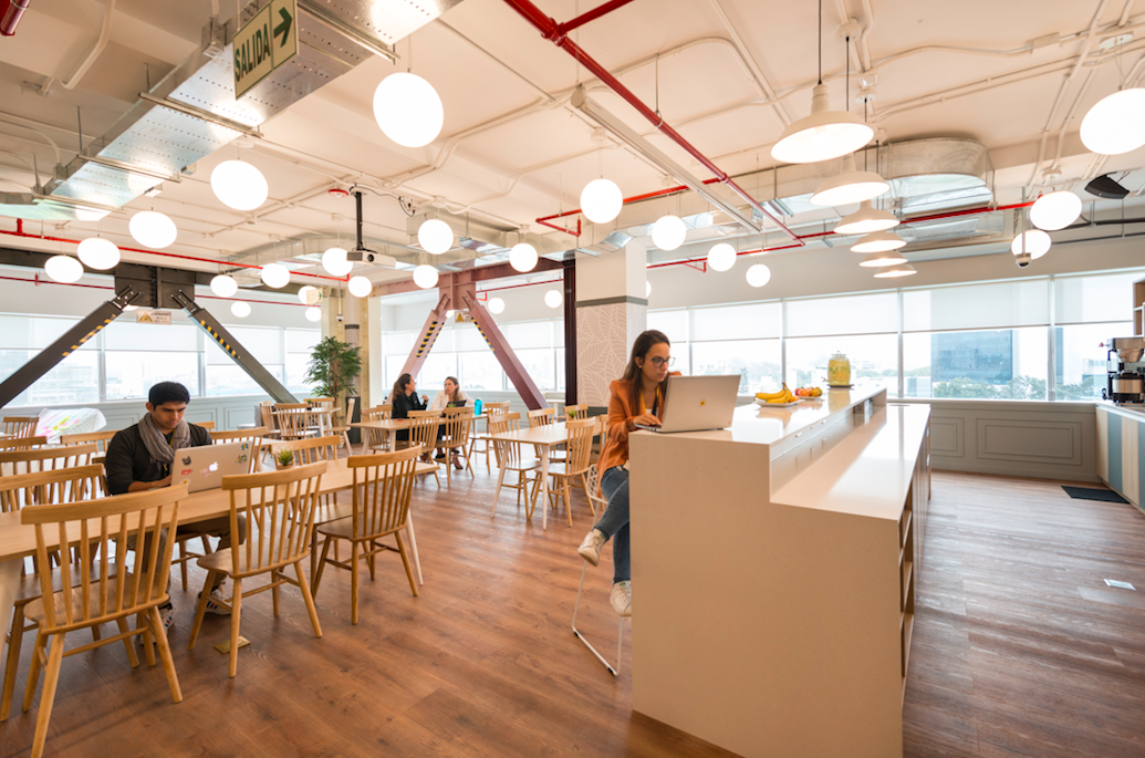 Comunal Begonias image 4