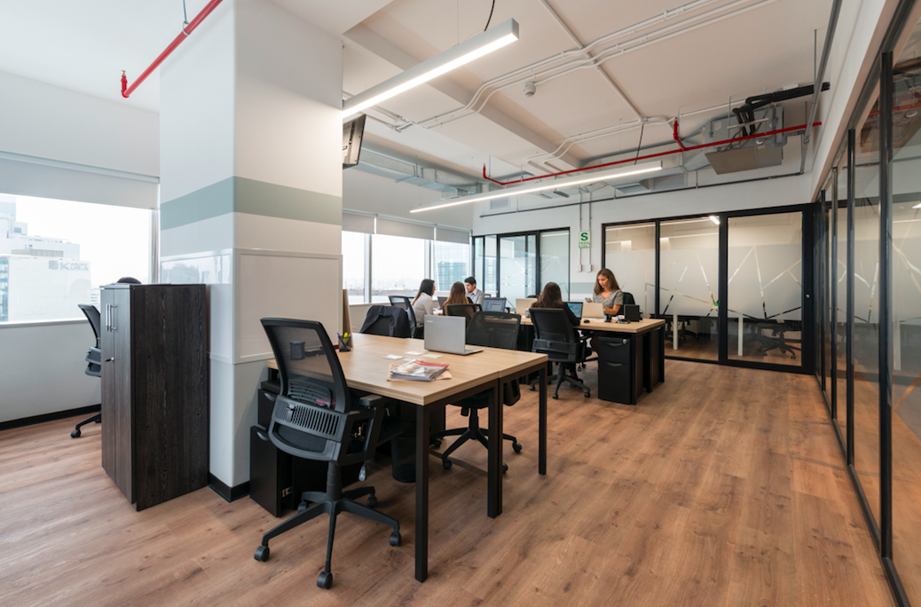 Comunal Begonias image 3